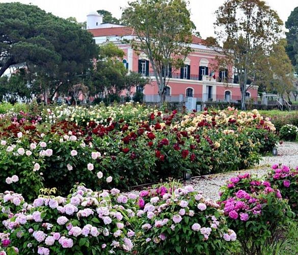 30042019 villa matarazzo