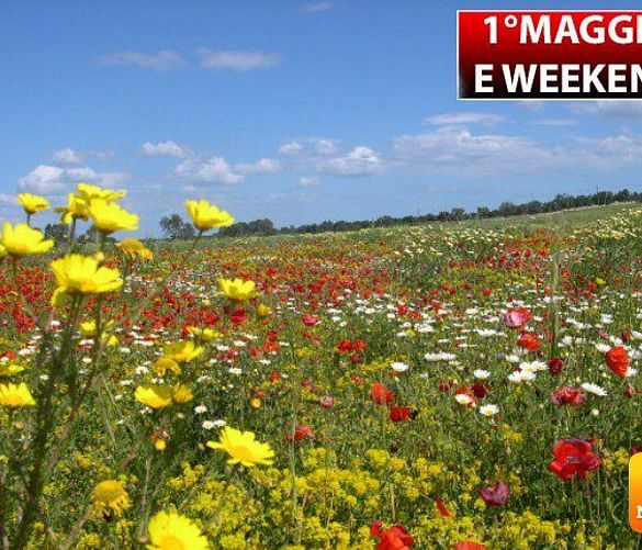 30042020 1 maggio caldo fiori