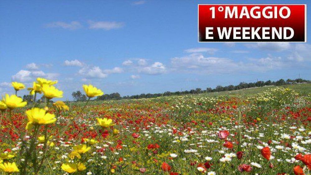 30042020 1 maggio caldo fiori