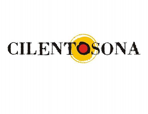 30052014 cilentosona logo