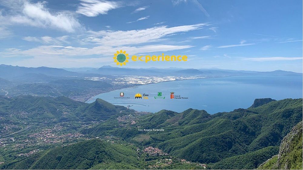 30062021 cava experience