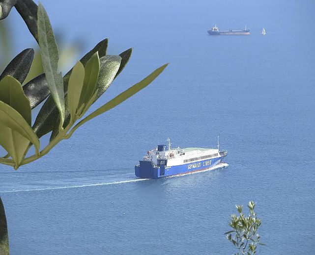 30072014 grimaldi lines