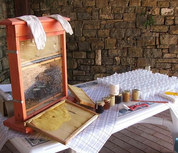 30072016 laboratori san mauro cilento