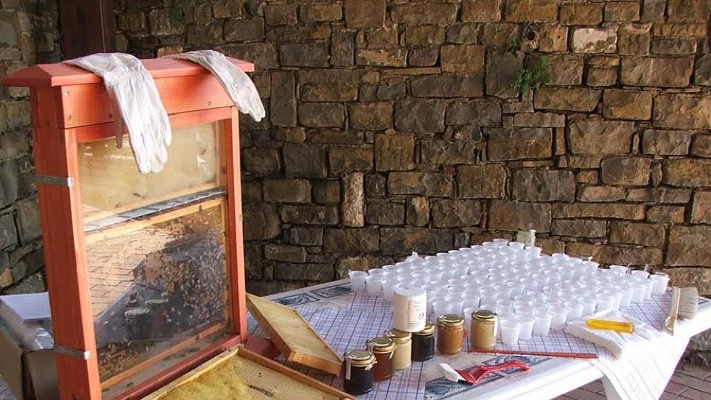 30072016 laboratori san mauro cilento