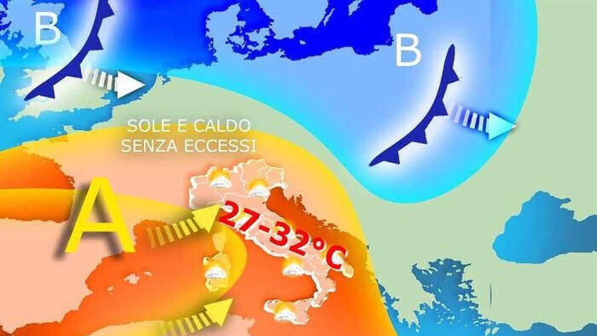 30072025 estate vintage 30072025 estate vintage