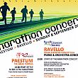 Spettacoli-eventi foto - 30082013 MARATHON CONCERT 3