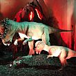 Spettacoli-eventi foto - 30082017 dinosauri roma 002