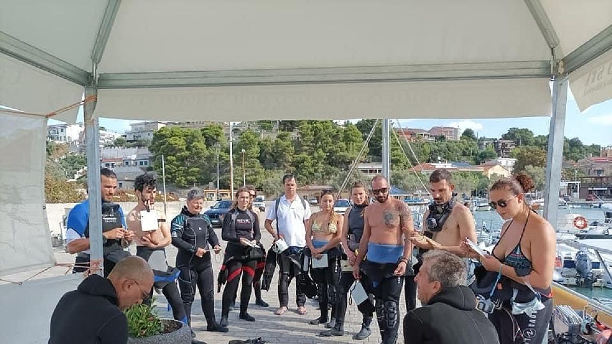 30082024 immesioni pioppi 30082024 immesioni pioppi