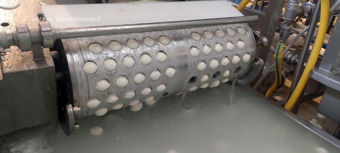 produzione mozzarelle