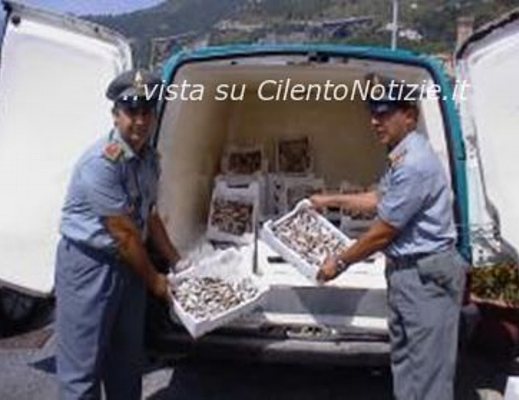 30102012 pesca novellame