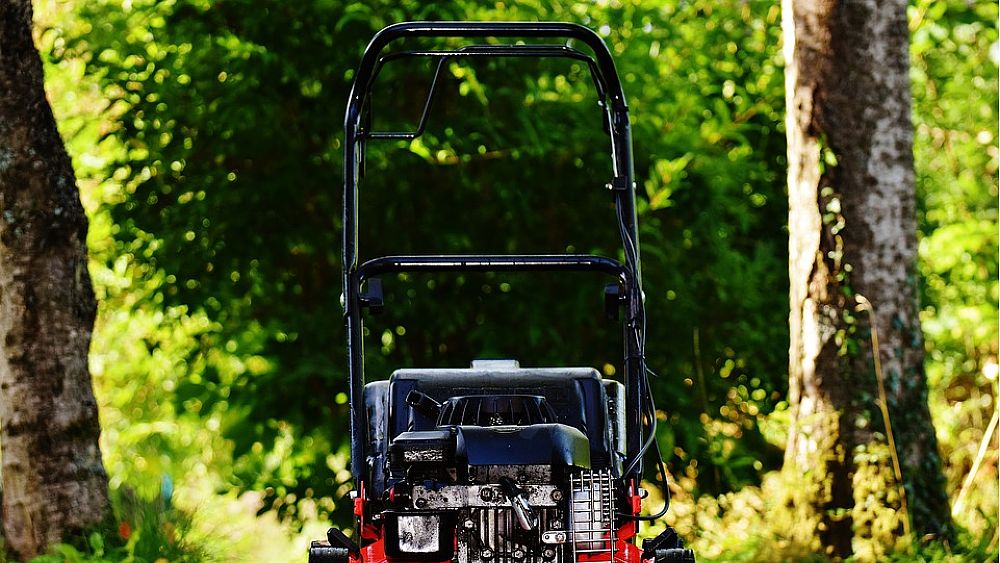 30112016 giardinaggio