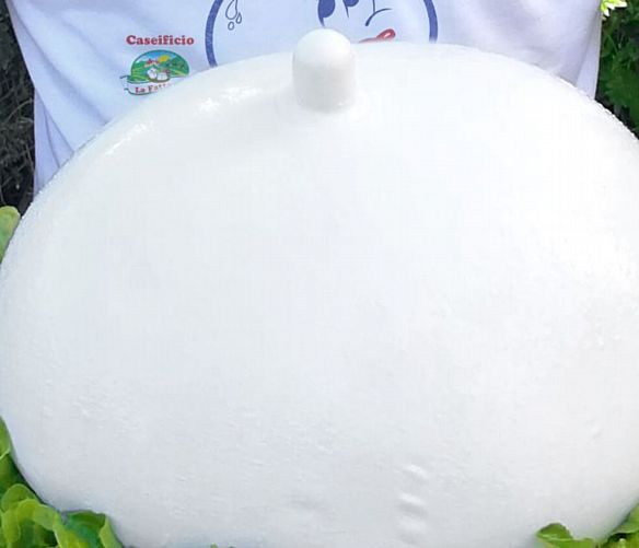 30112017 La Zizzona di Battipaglia   Caseificio La Fattoria