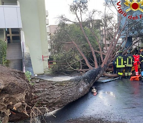 30112024 albero caduto unisa
