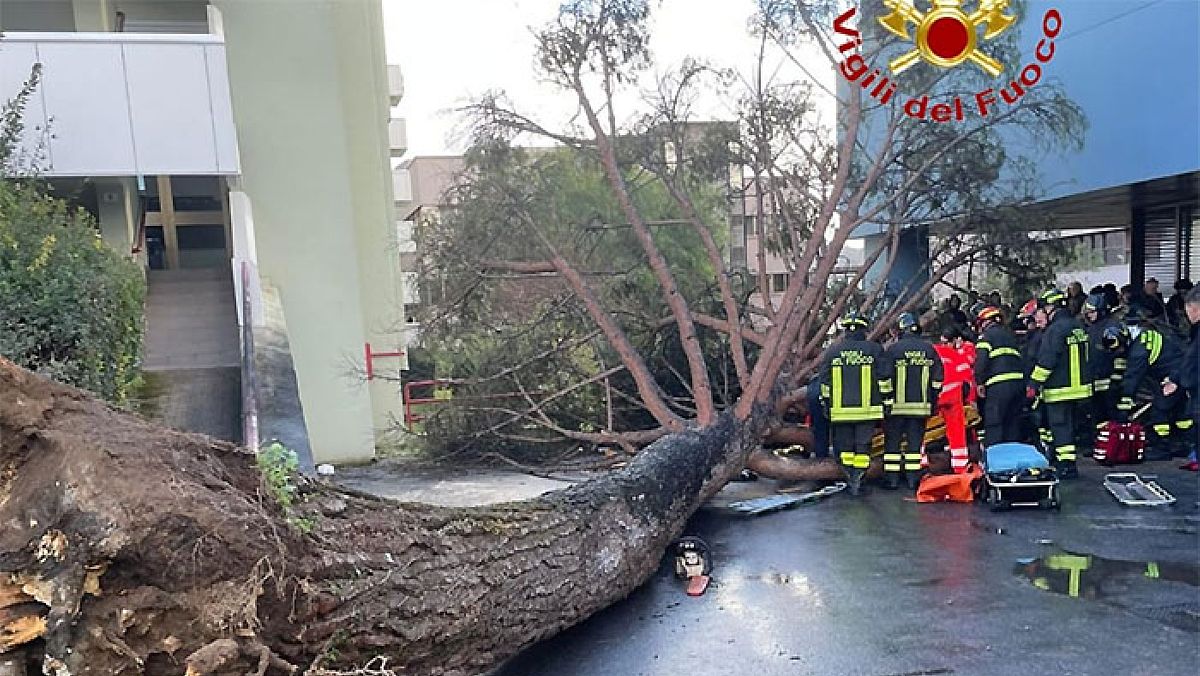 30112024 albero caduto unisa