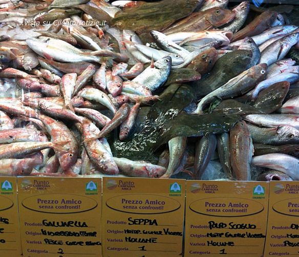 30122025 banco del pesce