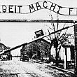Castellabate Notizie foto - 31012014 auschwitz