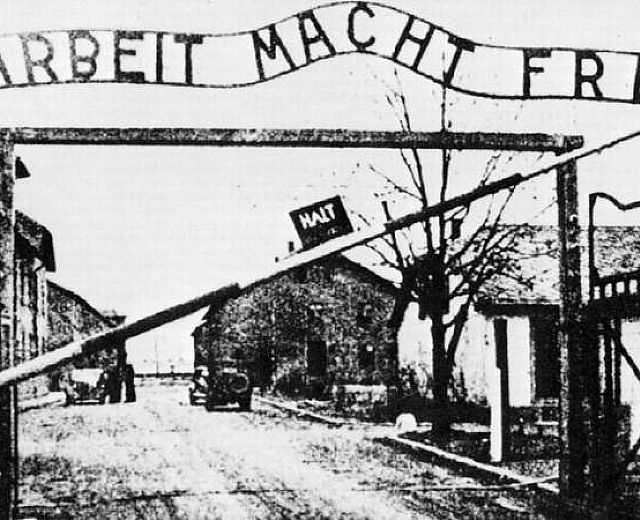 31012014 auschwitz