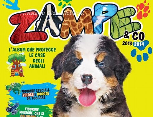 31012014 zampe e co