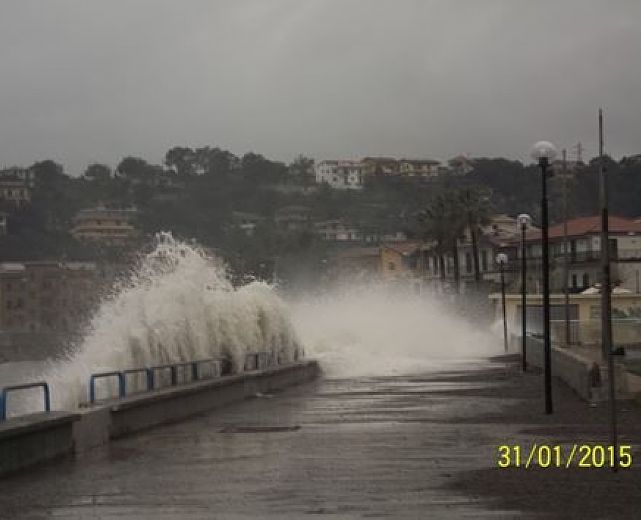 31012015 art abbate 01 31012015 art abbate 01