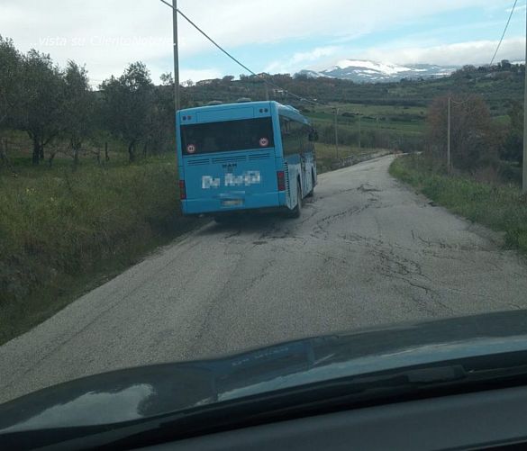 31012023 de rosa