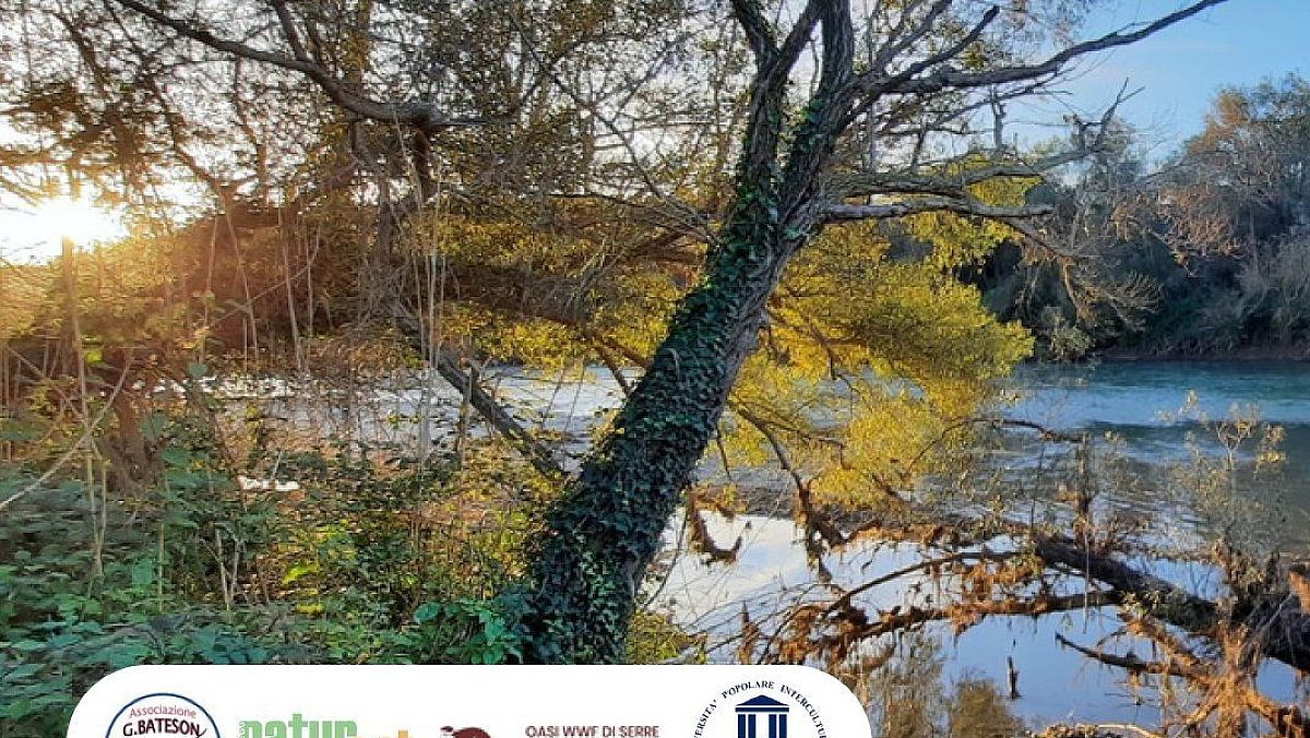 31012025 serre natura 31012025 serre natura