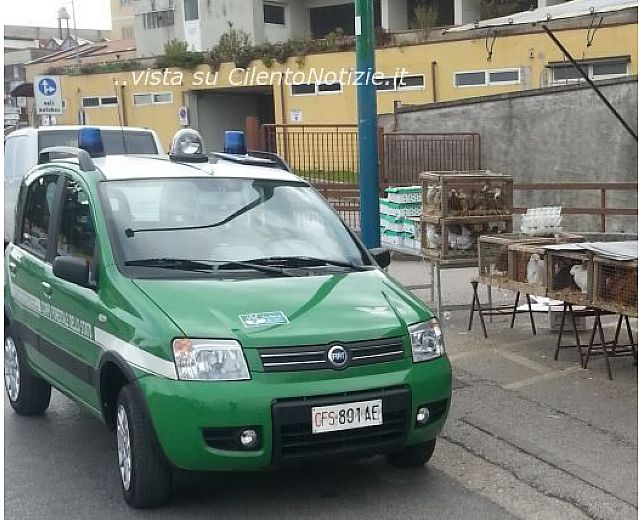 31032014 sequestri forestale