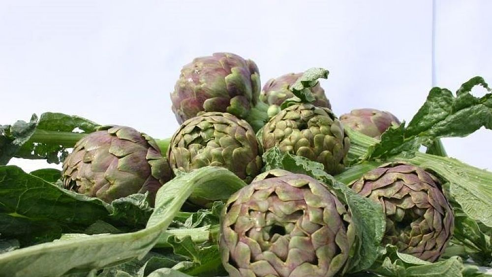 31032018 foto carciofo