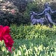 Spettacoli-eventi foto - 31052018 VILLA D AYALA VALVA