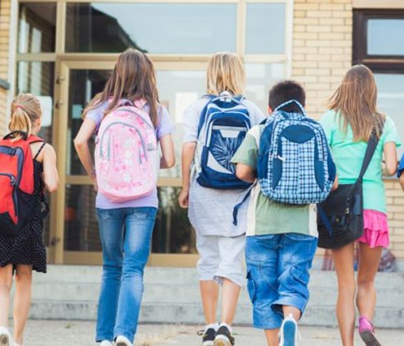 31052018 scuola ingresso
