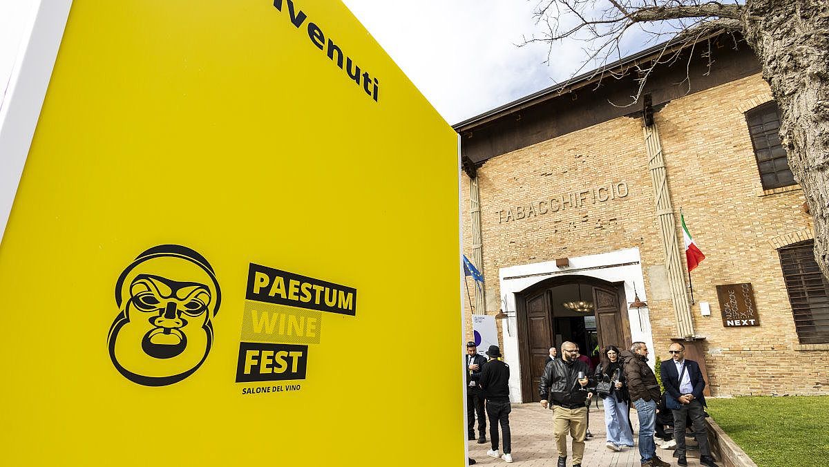 31052024 paestum wine fest 2025 31052024 paestum wine fest 2025