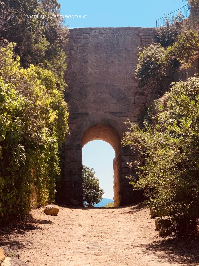 foto big porta rosa velia