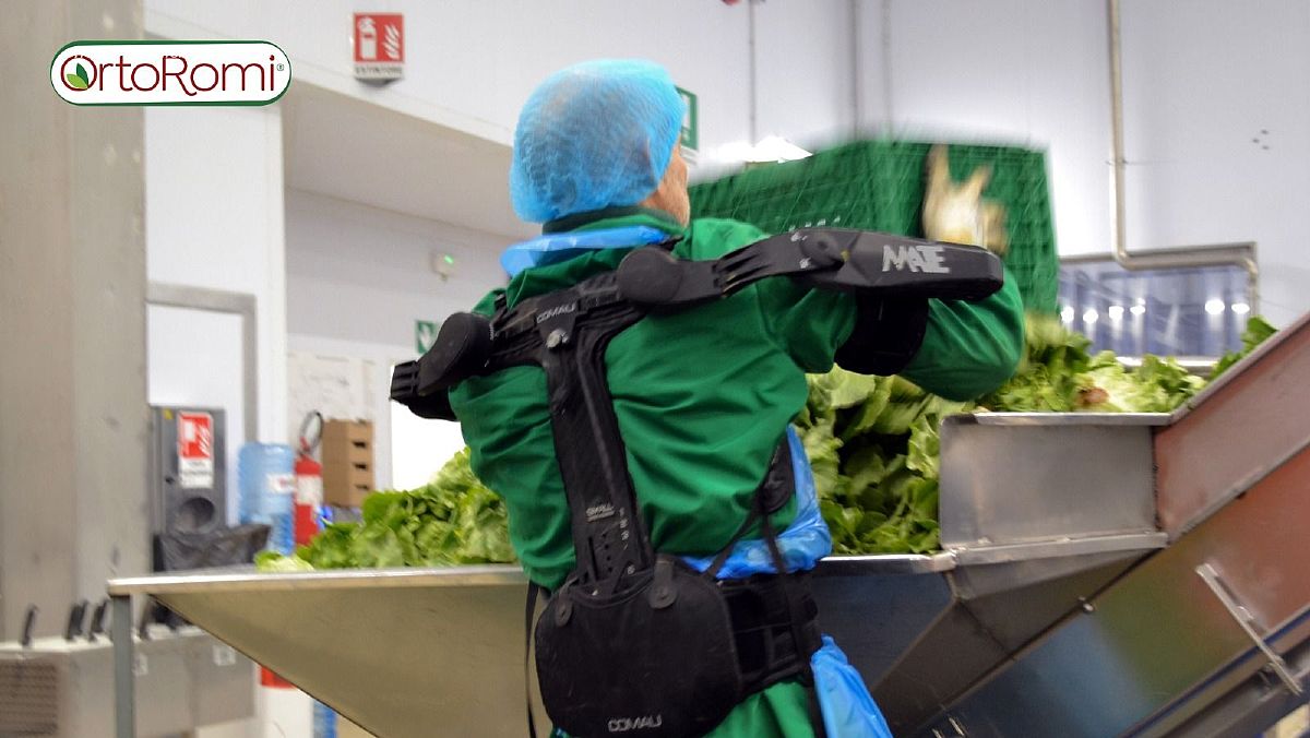 31072025 ortoromi esoscheletri 31072025 ortoromi esoscheletri