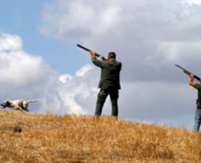 31082013 preapertura caccia