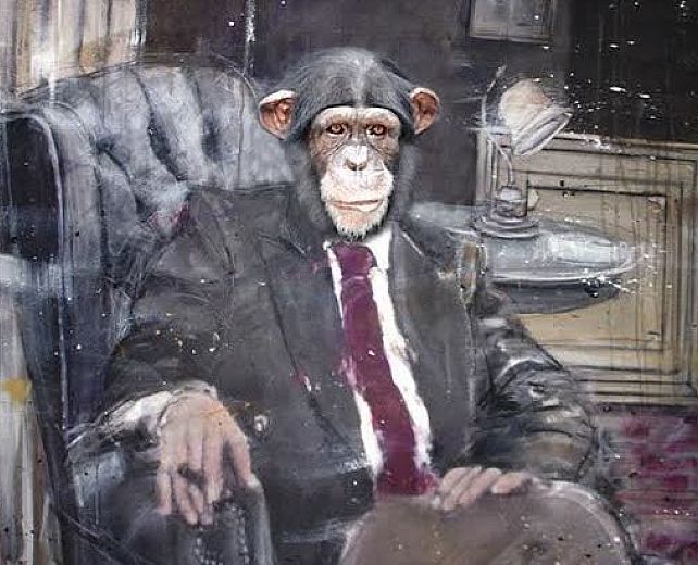 31102014 la scimmia ambiziosa testata 31102014 la scimmia ambiziosa testata