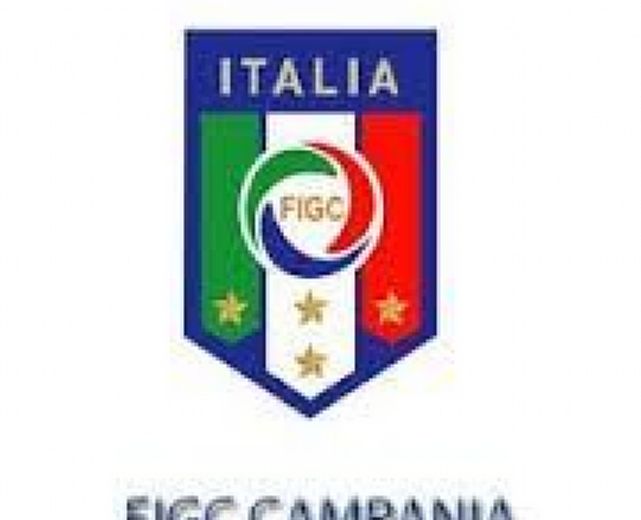 31102015 figc campania 31102015 figc campania