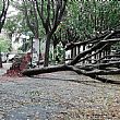 Politica foto - 31102018 alberi caduti