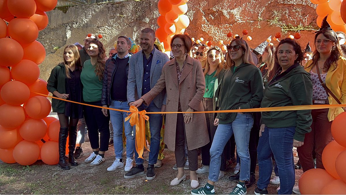 31102024 zucche sentiero 31102024 zucche sentiero