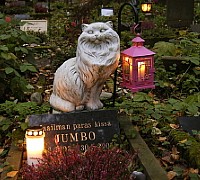 A Roma un cimitero per gli animali domestici 