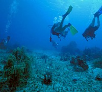 Ambiente marino e meteorologia