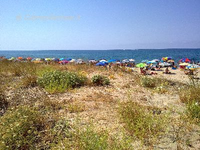 Casal Velino Notizie foto - Ascea marina spiaggia.jpg