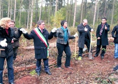 Castellabate Notizie foto - Blieskastel bosco ott10.jpg