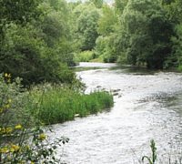 Campania Fiume Tanagro