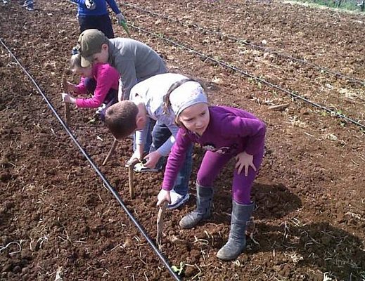 Ceraso Cilento Ortogym Ceraso Cilento Ortogym