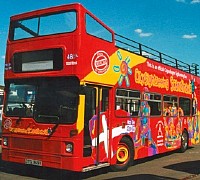CitySightseeing cilento