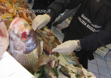 Controlli Guardia costiera agropoli 02.JPG