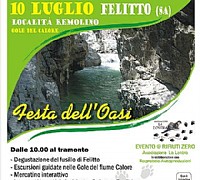 Felitto Festa dell Oasi 00