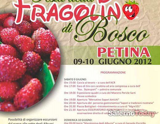 Festa della fragolina di bosco Petina