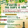 Spettacoli-eventi foto - Fiorilli e nu surs e vin