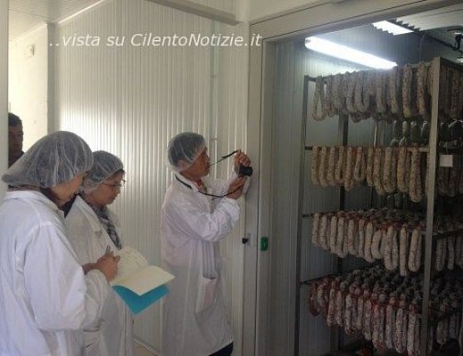 Giapponesi a Gioi art 10062012