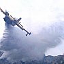 Cilento - Le ultime  Notizie foto - In azione i canadair
